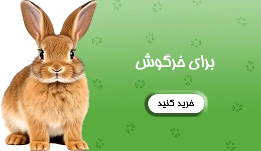 بنر خرگوش